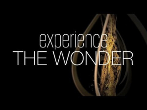 experience the wonder
